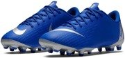 Buty piłkarskie Nike Mercurial Vapor Academy FG/MG AH7347-400 JR