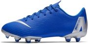 Buty piłkarskie Nike Mercurial Vapor Academy FG/MG AH7347-400 JR